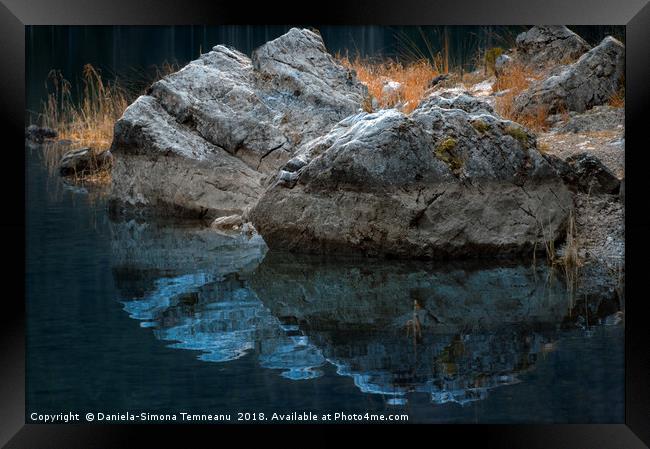 Rocks and dried grass reflected in water Framed Print by Daniela Simona Temneanu