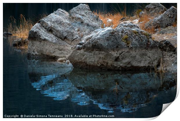 Rocks and dried grass reflected in water Print by Daniela Simona Temneanu