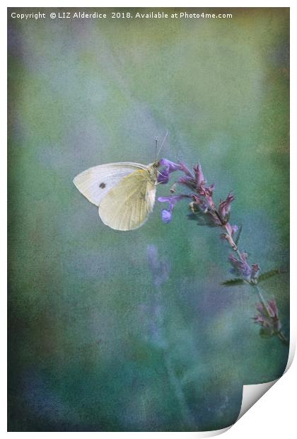Majestic Large White Butterfly Print by LIZ Alderdice