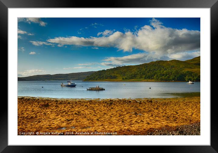 The Sound of Mull                 Framed Mounted Print by Angela Wallace