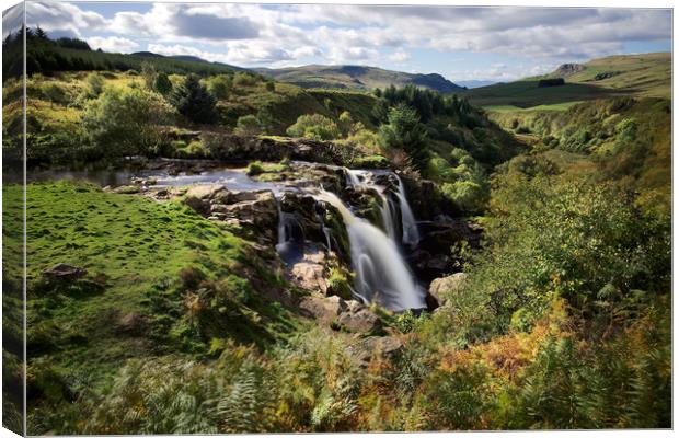 Loup of Fintry early Autumn Canvas Print by JC studios LRPS ARPS