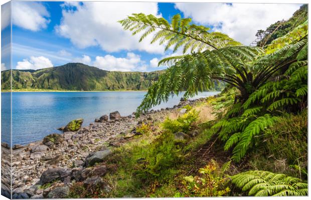 Majestic Tree Ferns by the Volcanic Crater Lake Canvas Print by Kevin Snelling