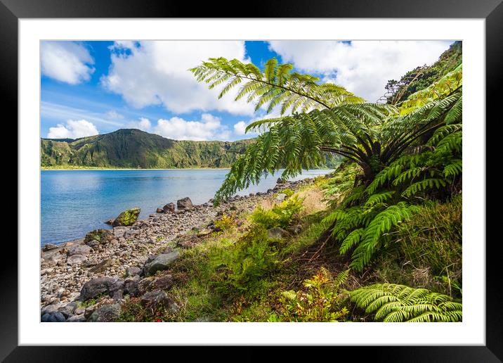Majestic Tree Ferns by the Volcanic Crater Lake Framed Mounted Print by Kevin Snelling