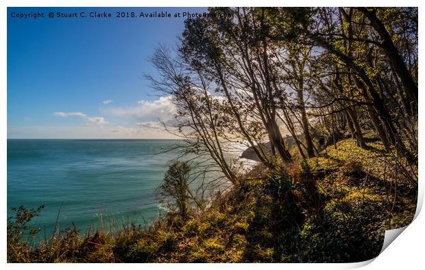 Through the trees Print by Stuart C Clarke