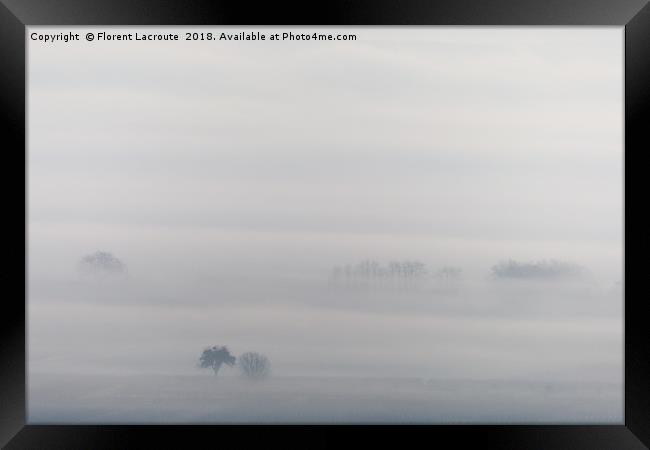 Trees in the mist Framed Print by Florent Lacroute