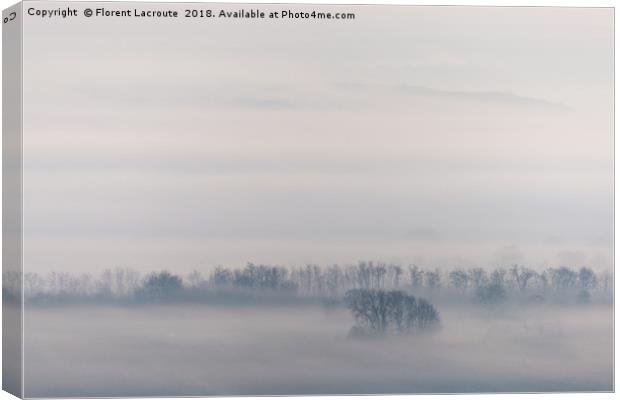 Misty trees Canvas Print by Florent Lacroute