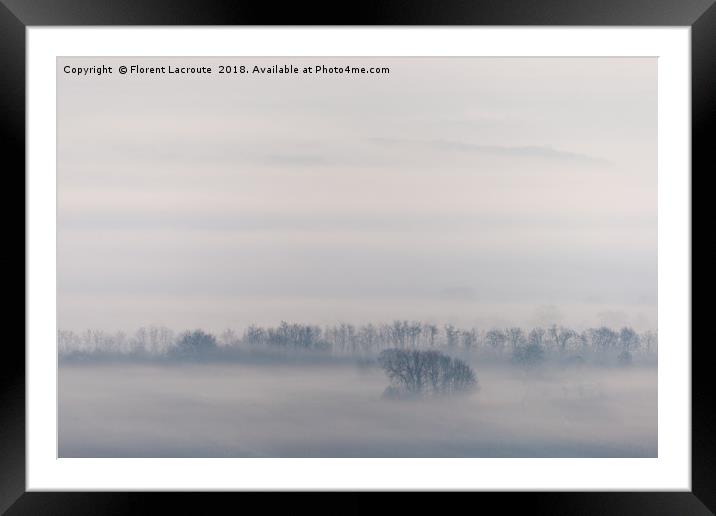 Misty trees Framed Mounted Print by Florent Lacroute