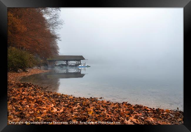 Dock on lake in autumn fog Framed Print by Daniela Simona Temneanu