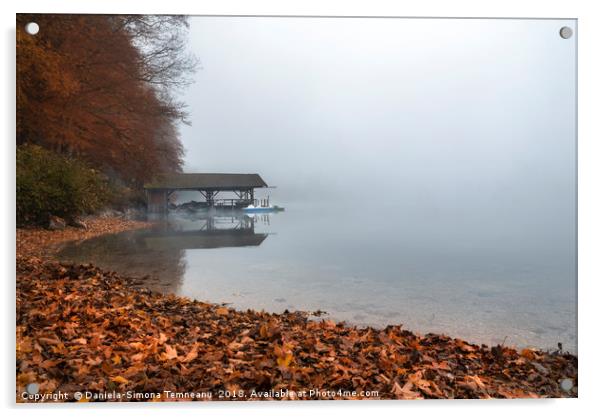 Dock on lake in autumn fog Acrylic by Daniela Simona Temneanu