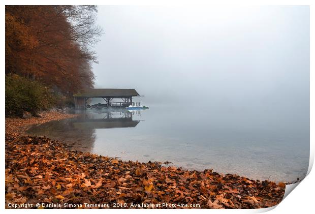 Dock on lake in autumn fog Print by Daniela Simona Temneanu