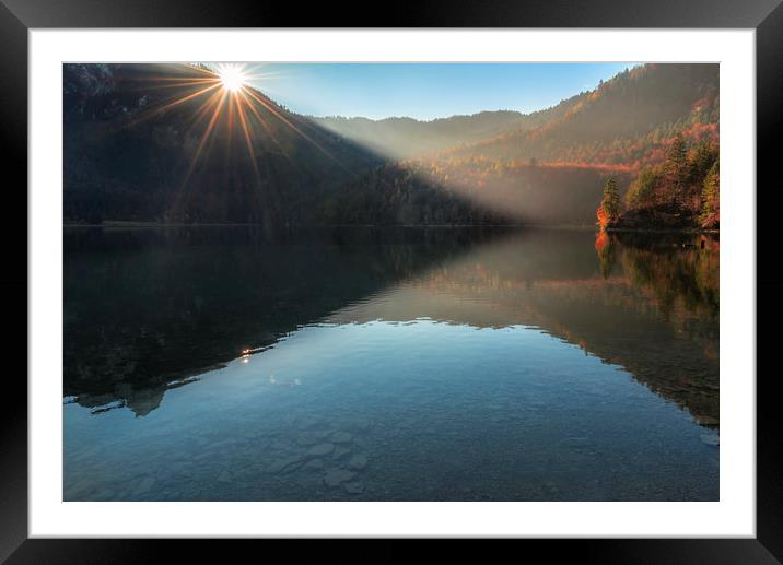 Morning sunshine over lake and autumn forest Framed Mounted Print by Daniela Simona Temneanu