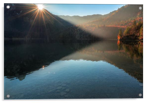 Morning sunshine over lake and autumn forest Acrylic by Daniela Simona Temneanu