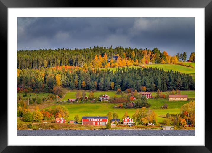 Autumn in Sweden Framed Mounted Print by Hamperium Photography