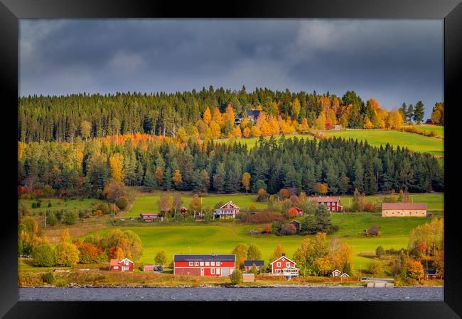 Autumn in Sweden Framed Print by Hamperium Photography