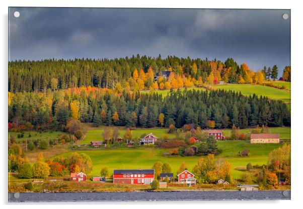 Autumn in Sweden Acrylic by Hamperium Photography
