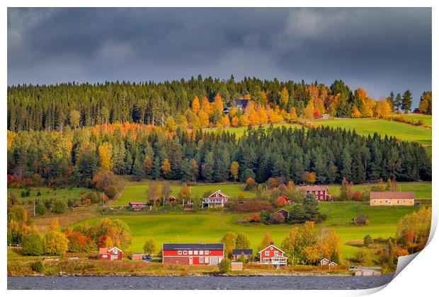 Autumn in Sweden Print by Hamperium Photography