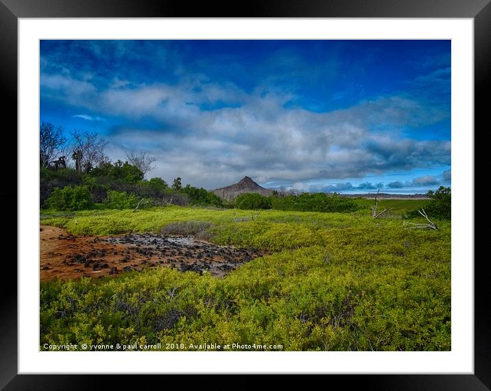 Dragon hill, Santa Cruz island, Galapagos Framed Mounted Print by yvonne & paul carroll