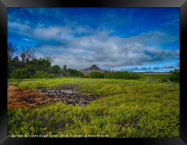 Dragon hill, Santa Cruz island, Galapagos Framed Print by yvonne & paul carroll