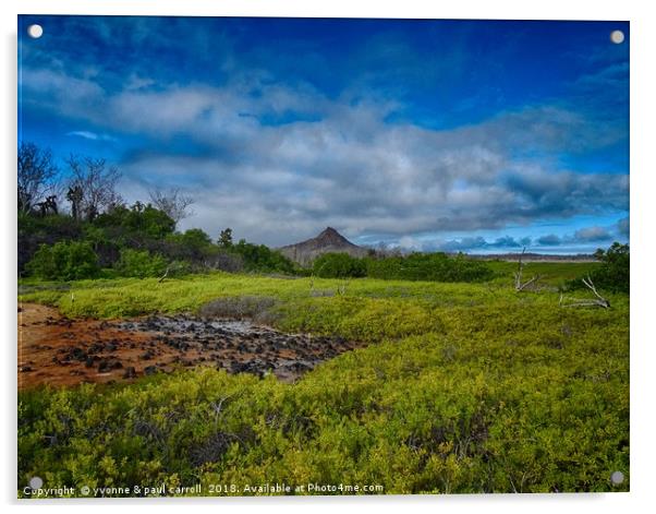 Dragon hill, Santa Cruz island, Galapagos Acrylic by yvonne & paul carroll