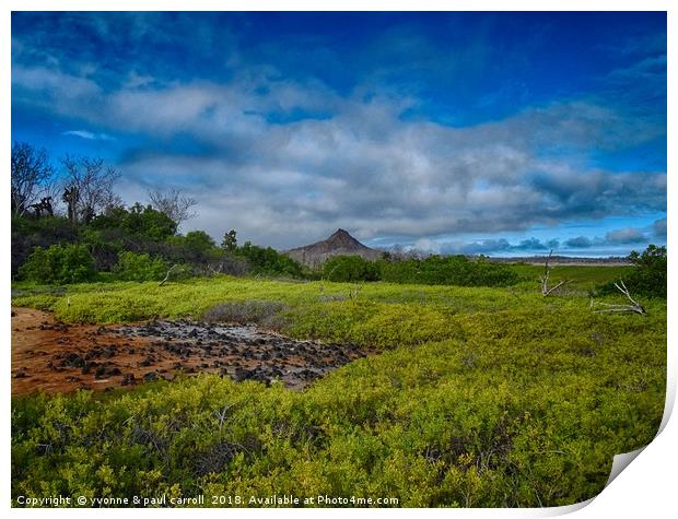 Dragon hill, Santa Cruz island, Galapagos Print by yvonne & paul carroll