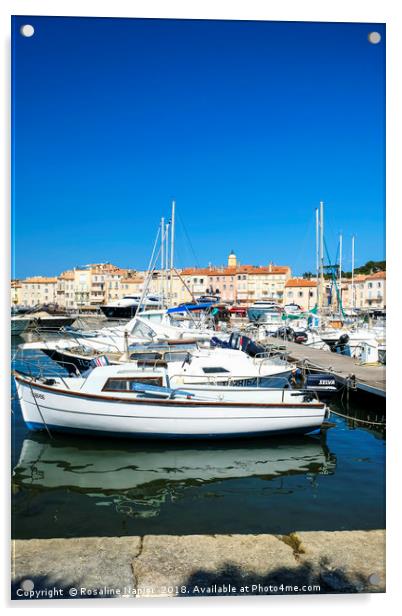 Saint Tropez marina Acrylic by Rosaline Napier