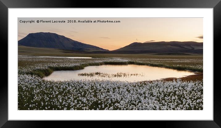 sunset in Iceland with cotton grass, lake and moun Framed Mounted Print by Florent Lacroute