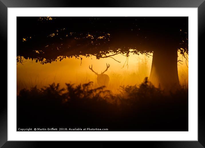 Richmond Park at Sunrise Framed Mounted Print by Martin Griffett