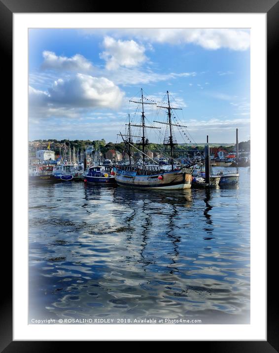"Whitby Endeavour" Framed Mounted Print by ROS RIDLEY