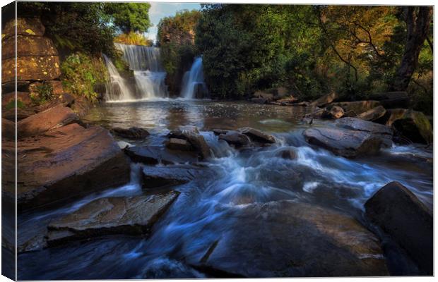 Penllergare Valley waterfall Canvas Print by Leighton Collins