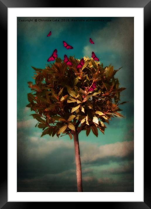 That Butterfly Feeling Framed Mounted Print by Christine Lake