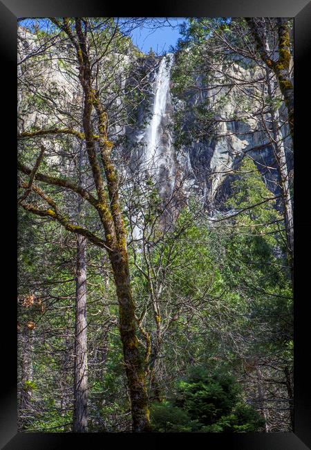 Yosemite Falls Framed Print by David Hare