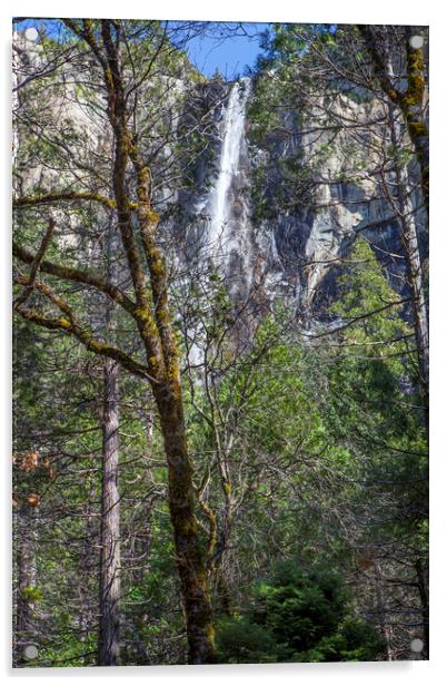 Yosemite Falls Acrylic by David Hare