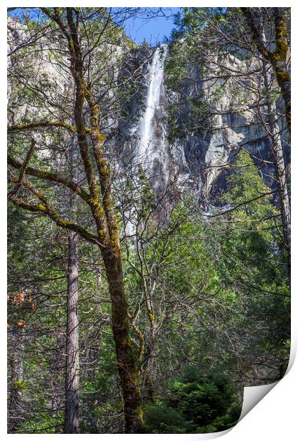Yosemite Falls Print by David Hare