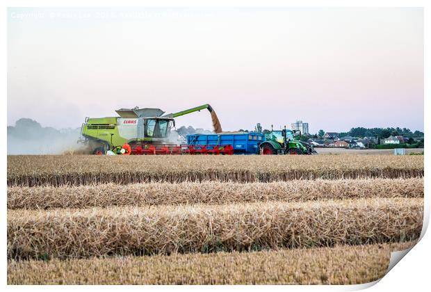 Time for Harvest Print by Robin Lee