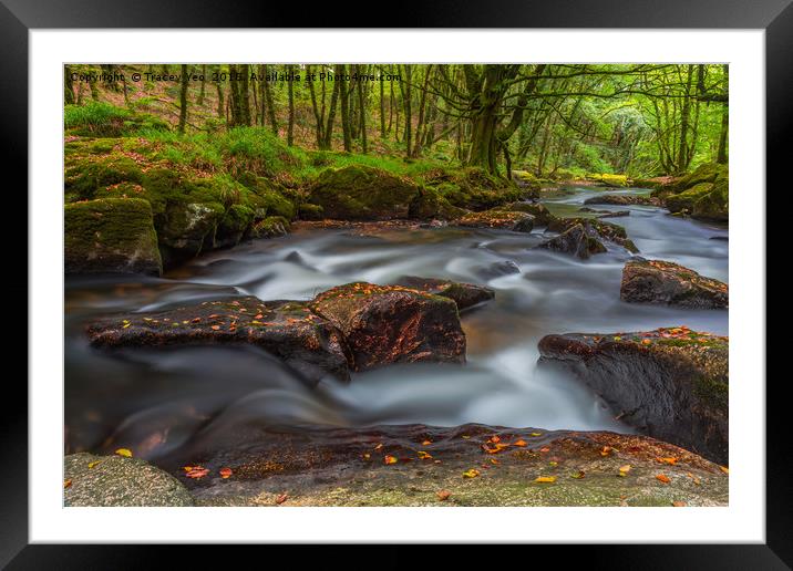 Golitha Falls. Framed Mounted Print by Tracey Yeo