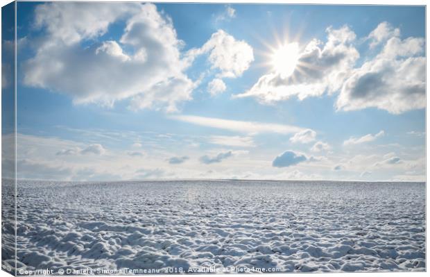 Endless field of snow and sunny sky Canvas Print by Daniela Simona Temneanu