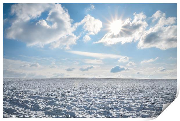 Endless field of snow and sunny sky Print by Daniela Simona Temneanu