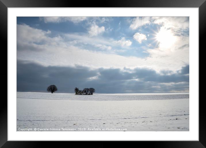 Field of snow and trees under bright sun Framed Mounted Print by Daniela Simona Temneanu