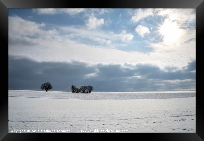 Field of snow and trees under bright sun Framed Print by Daniela Simona Temneanu