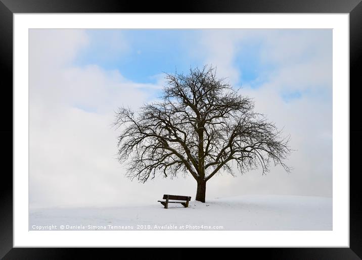 Single tree with bench and snow Framed Mounted Print by Daniela Simona Temneanu