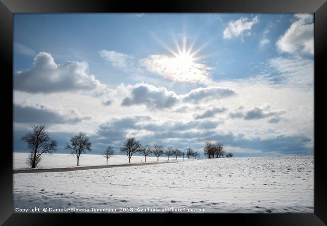 String of trees and snowy fields  Framed Print by Daniela Simona Temneanu