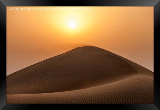 Sunset in the desert Framed Print by Viktoryia Vinnikava