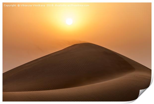 Sunset in the desert Print by Viktoryia Vinnikava