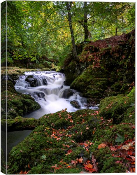 Tranquil Autumn Waterfalls Canvas Print by Stuart Jack