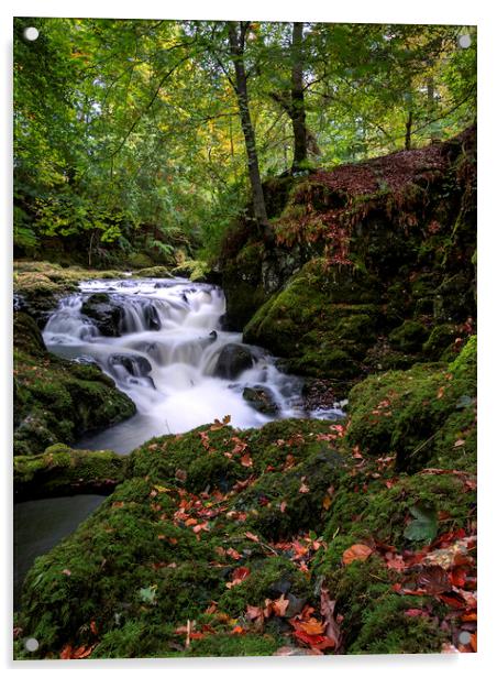 Tranquil Autumn Waterfalls Acrylic by Stuart Jack