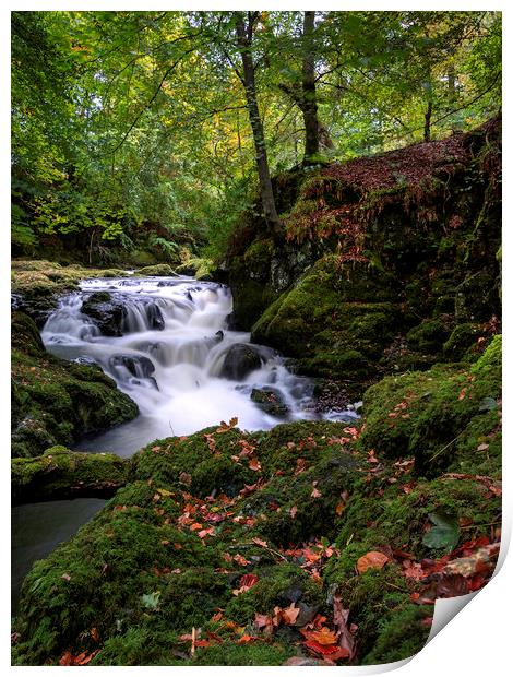 Tranquil Autumn Waterfalls Print by Stuart Jack