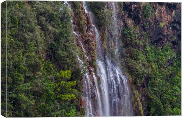 Gauyabo Falls in the Cuban Mountains Canvas Print by Paul Smith