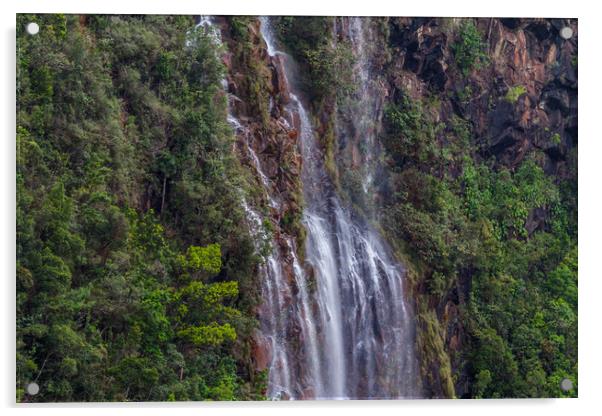 Gauyabo Falls in the Cuban Mountains Acrylic by Paul Smith