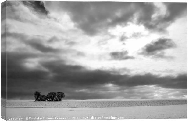 Monochrome winter scenery with trees and snow Canvas Print by Daniela Simona Temneanu