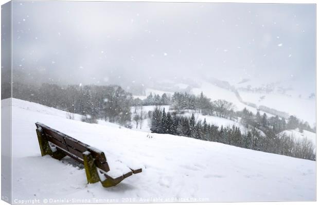 Wooden bench on a hill and snowfall Canvas Print by Daniela Simona Temneanu